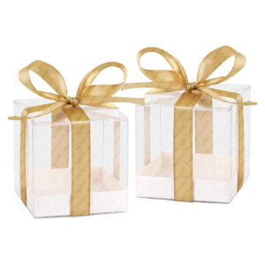 Favor Boxes