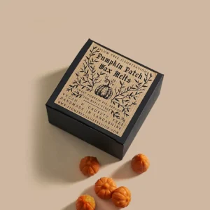 Halloween Wax Melt Packaging 12 Halloween Wax Melt Boxes