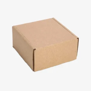 Biodegradable Boxes