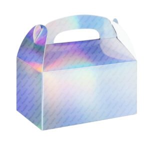 Holographic Boxes