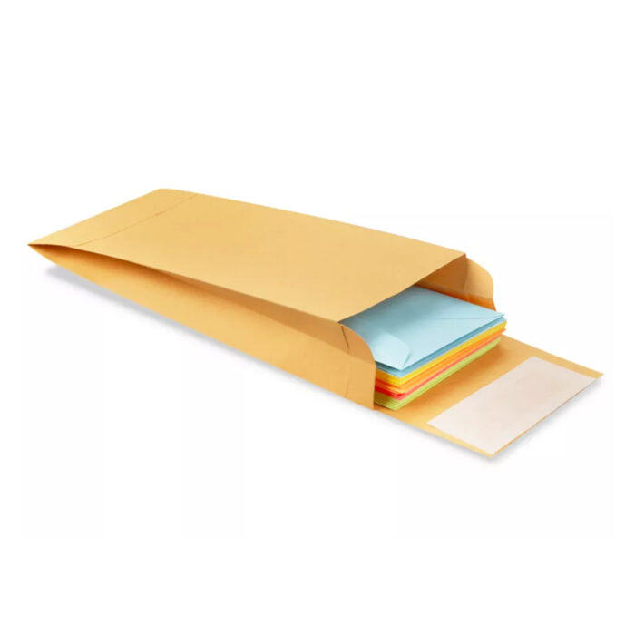 Seed Envelopes